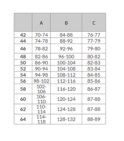 Spodnie tekstylne DAINESE SPORT MASTER GORE-TEX BLACK/GREY czarny szary