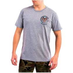 Koszulka T-shirt DAVCA STREET ATHLETS GREY szary