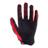 Rękawice cross FOX PAWTECTOR BLACK/RED czarny czerwony