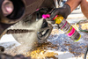 Środek MUC-OFF POWERSPORTS DRIVETRAIN CLEANER 0,5L